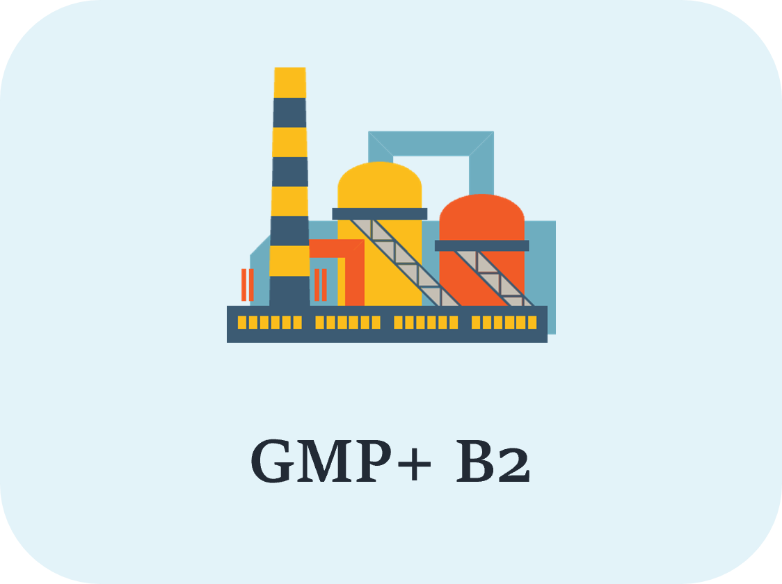 GMP