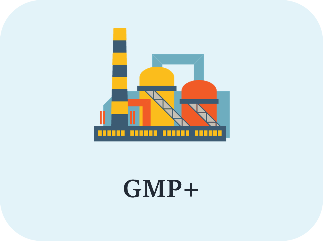 GMP