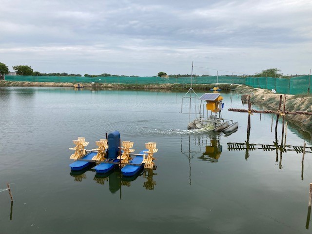 A shrimp farm in India, with automatic feeders