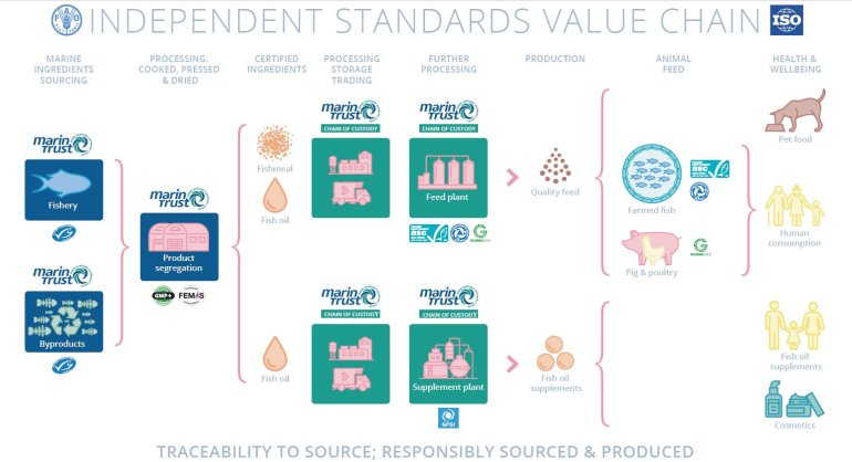 infographic value chain_0.jpeg