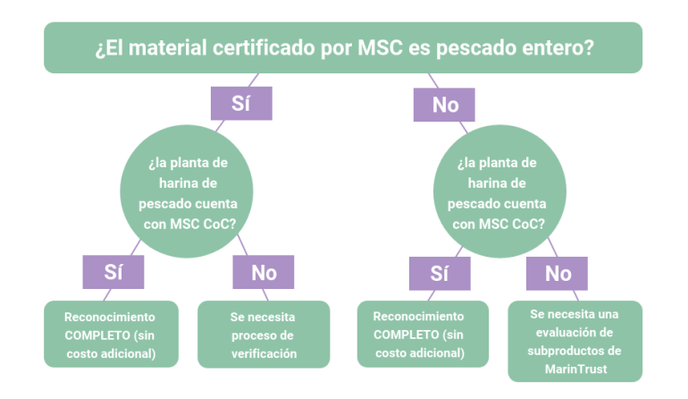 Process Flow